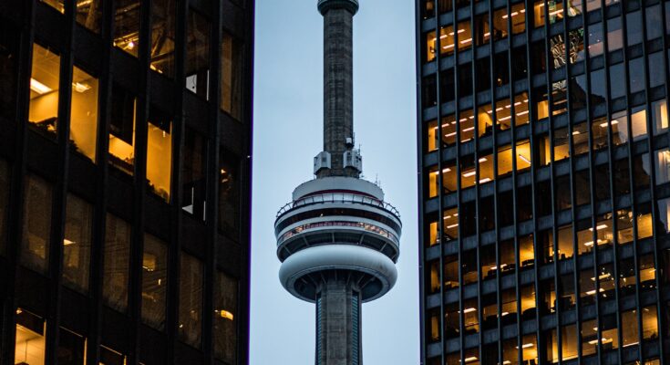 https://www.canadacis.org/find-a-job-in-canada/?utm_source=PPC-CIS&utm_medium=aw&network=g&campaign=21177462653&adgroup=160964482956&keyword=canadian%20job%20search&utm_adid=696358456751&GeoID=1008463&mt=b&eid=&device=c&devicemodel=&placement=&target=&gad_source=1&gad_campaignid=21177462653&gbraid=0AAAAADAvrnP2m3H3UzgNHH6DjKcz2Lt7H&gclid=Cj0KCQjw3qLSBhDaARIsAFTiVh4xmyByA1wOr3x3YbjX3Ccwlz_O6quUjPCTgu8Btn25HvMA8WixUugaAs-3EALw_wcB